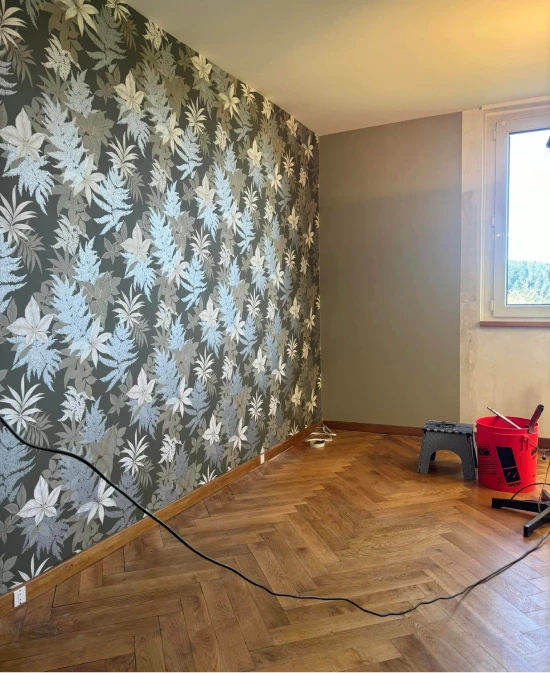 Thierry Peintures Peintre Saverne Peinture Interieur 1 Thierry Peintures Peintre Saverne Peinture Interieur 1